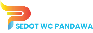 sedot wc pandawa